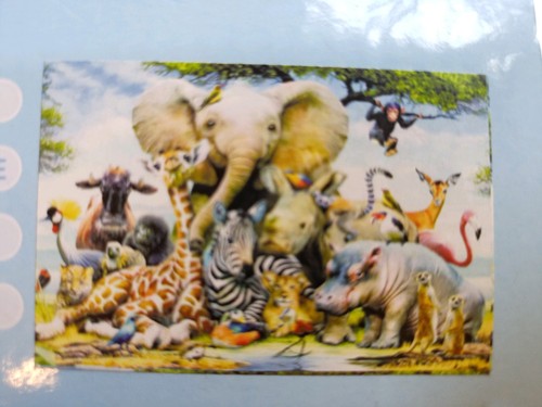 1000 piece african animals - piece,