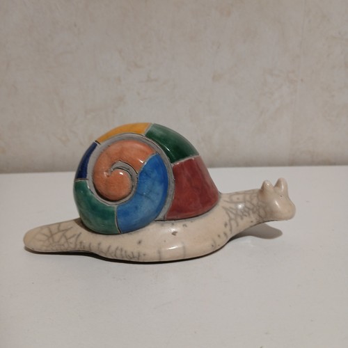 South african raku snail - african,