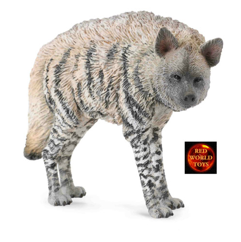 Striped hyena african - hyena, wildlife