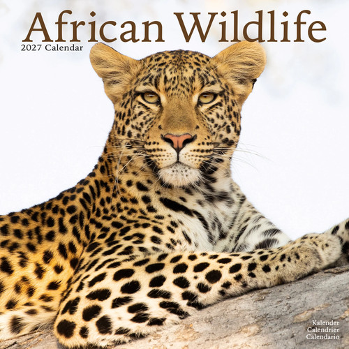 African wildlife 2027 calendar - wildlife,