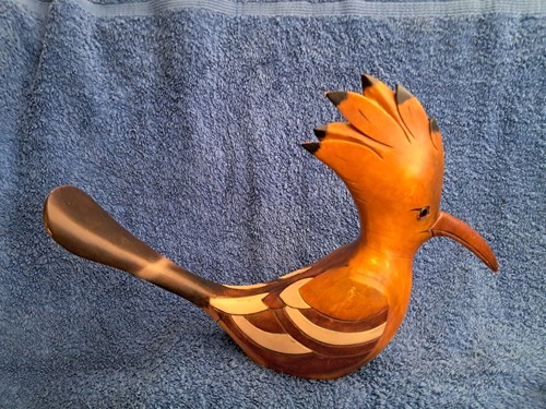 African hoopoe bird feathers - bird,