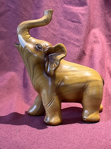 African plains wood - plains,