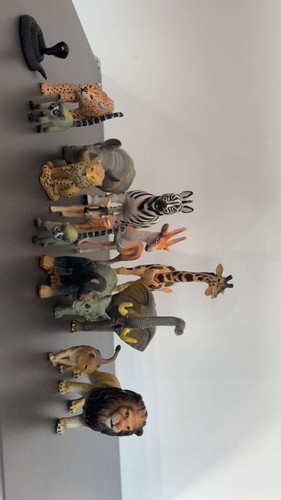 Selection african animals - of,