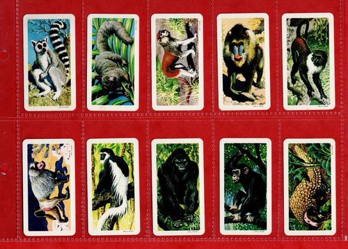 Brooke bond african animals - bond,