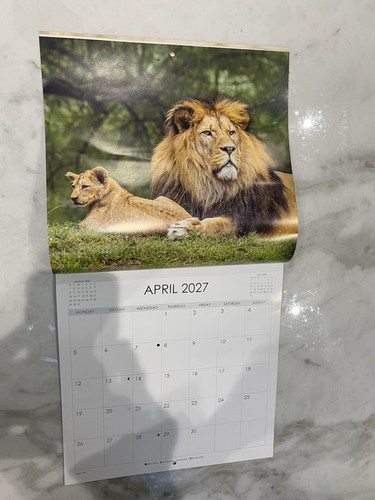2027 calendar wild african - 2027,