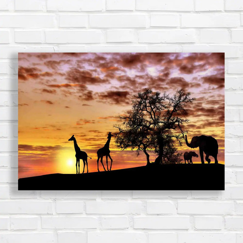African animals sunset - animals, in