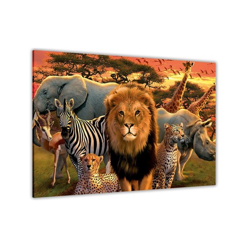 Wild cute african - wild,