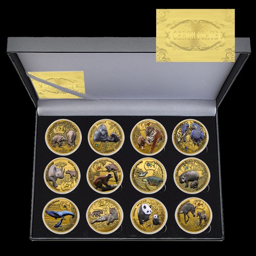 12pc box african animals - 12pc/box,
