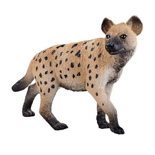 Mojo hyena wild zoo - wild, animals